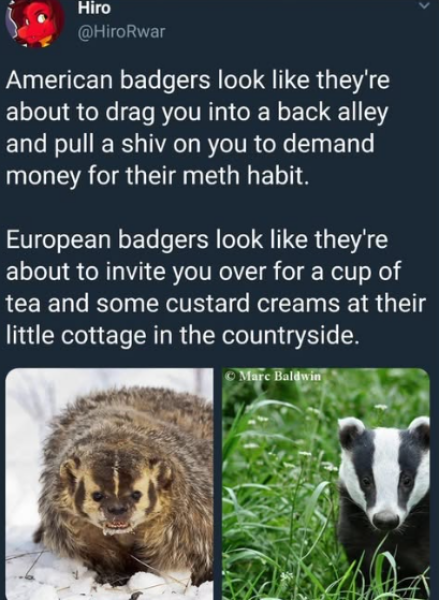 The Bluestocking Women’s Pub: definitely full of ludicrous halfwits who refuse to get a grip (with unionised gerbils)