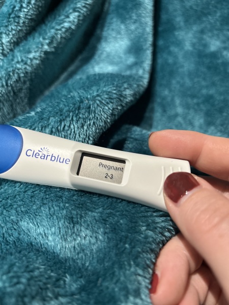 Due September 2026 🐣💖🙏🤞