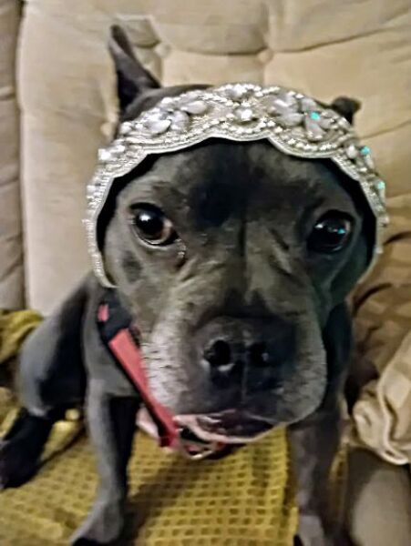 The Continuing Support Thread for Anyone Trying to Lead an Alcohol-Free Life Spring 2026