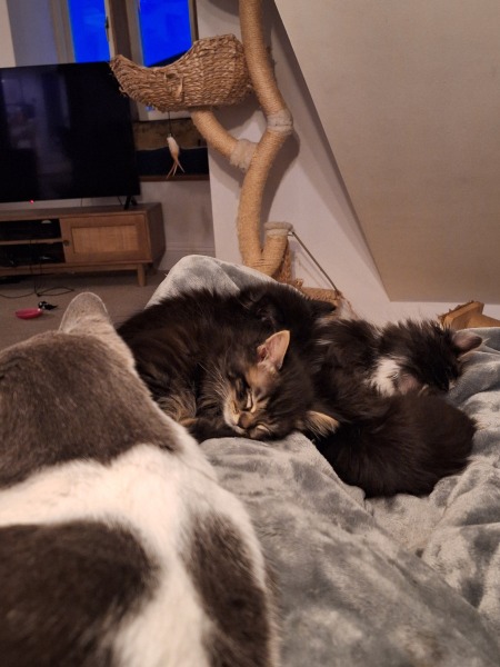 May 2025 Starters Thread 7 - Ending the year as we mean to go on ✌️