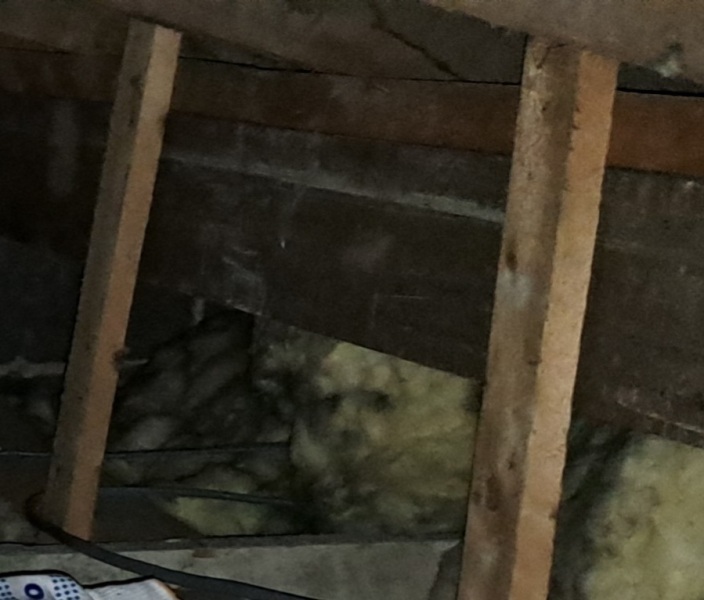 The Bluestocking - your local women's pub, warm, friendly, and not at all unusual in any way.