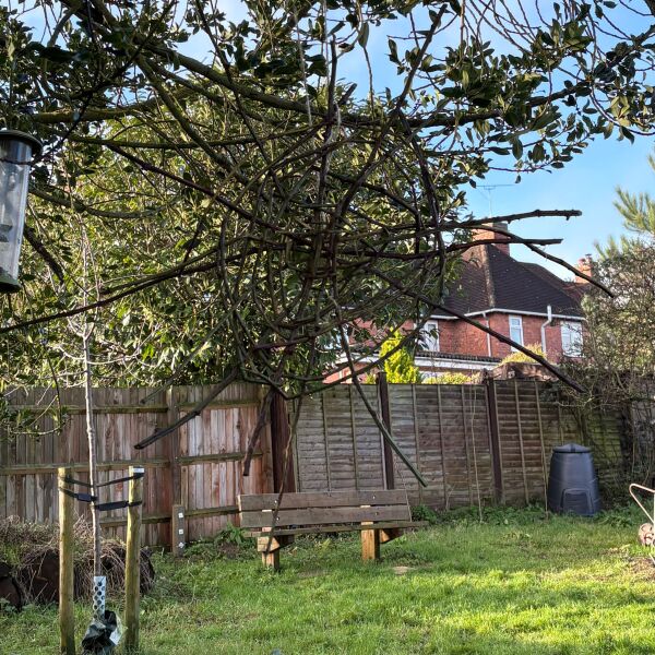 What are you up to today if you have a chronic illness? Thread 5