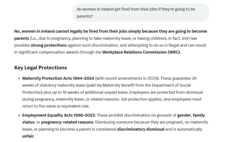 The Countess - Womens rights group in Ireland - Report on Immigration Effects on Women & Girls