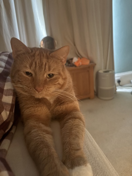 Last photo taken using your phone is...