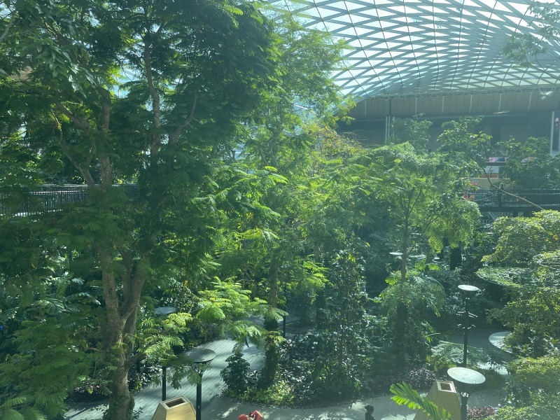 Daily Project round 8