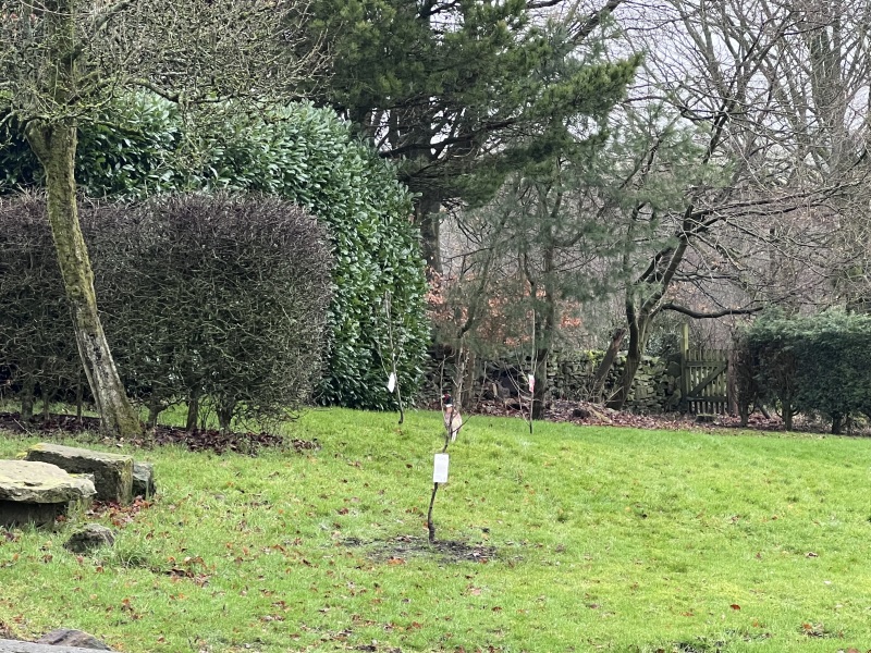 Daily Project Round 9