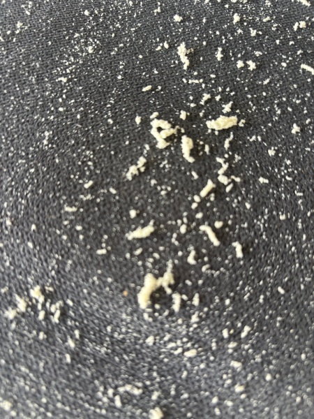 What could this be? Panicking a little