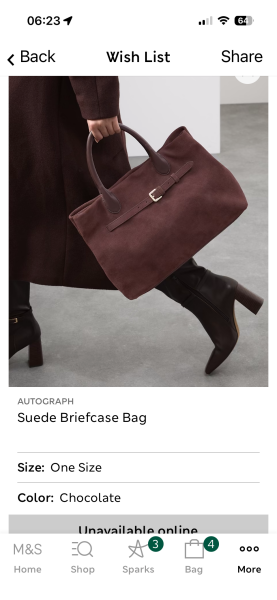 Handbag dilemma