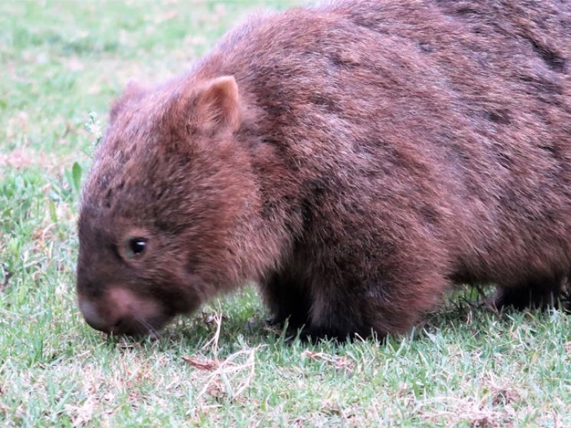 Isn’t AGP also what every woman experiences when they get dressed up & feel good about themselves?