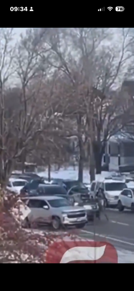 ICE agent shoots woman in the face.