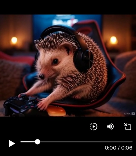 The Bluestocking Boxing Day sale: 1 gerbil for the price of 2