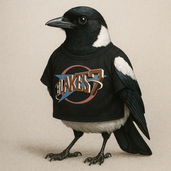 The Bluestocking - your local women's pub, warm, friendly, and not at all unusual in any way.