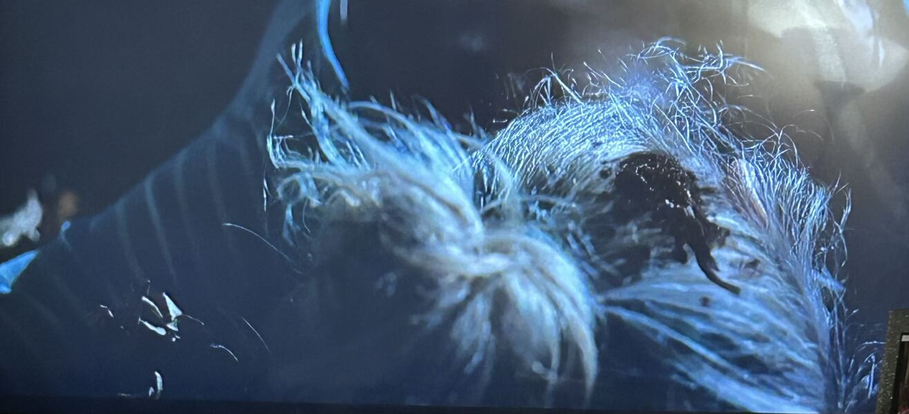 THE HUNTING WIVES. sat 27 - itv 9pm - TV PACE. NO SPOILERS