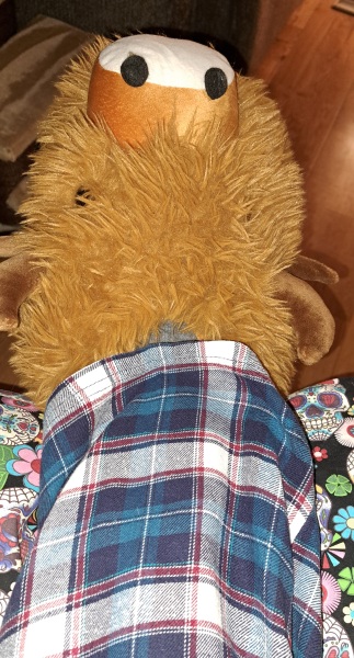 The Bluestocking, where the cheese is plentiful and the Champagne is on Boiledbeetle