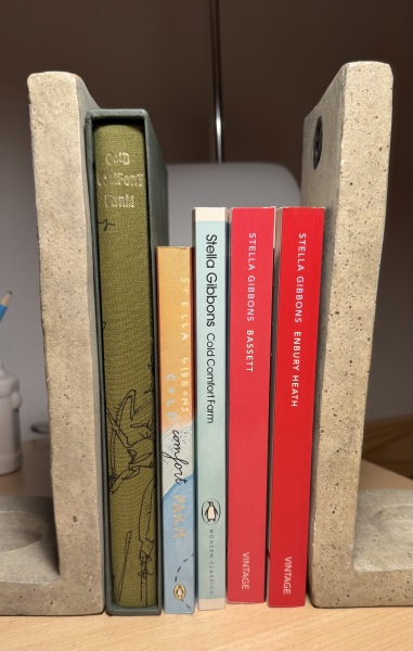 My year with Stella...