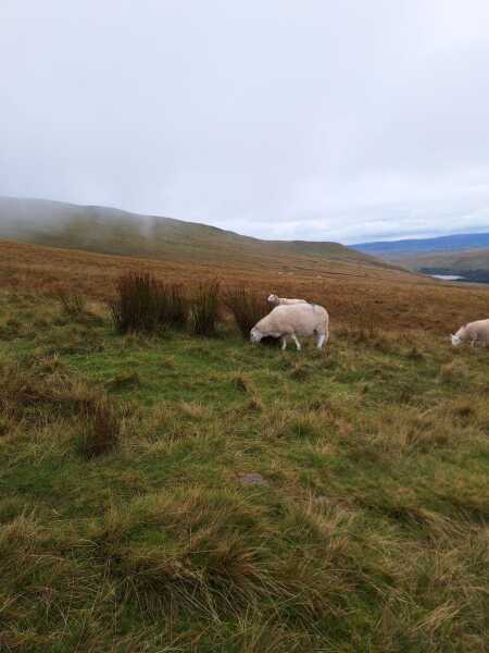 Thread 42 Starmer : Du drikker en kop te, og så tænker du lidt over alting