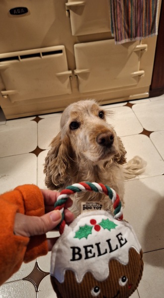 The Nigel Slater Christmas Chronicles Readalong 2025 - Part 3