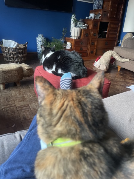 The Nigel Slater Christmas Chronicles Readalong 2025 - Part 3