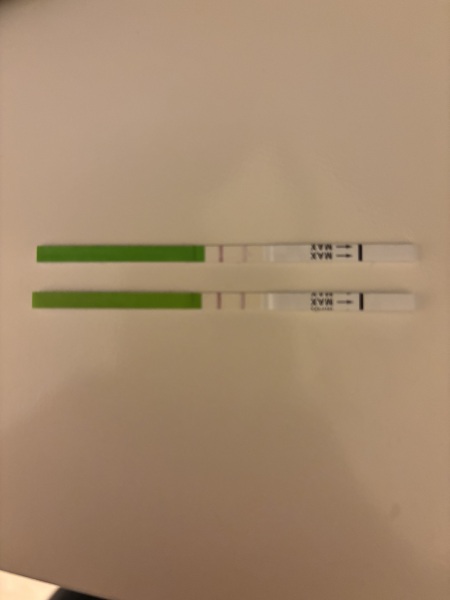 First time using OPKs have I missed my peak?