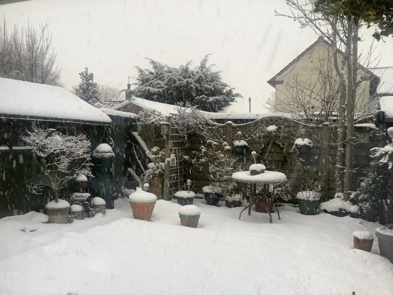 The Nigel Slater Christmas Chronicles Readalong 2025 - Part 3