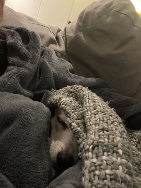 The Nigel Slater Christmas Chronicles Readalong 2025 - Part 3