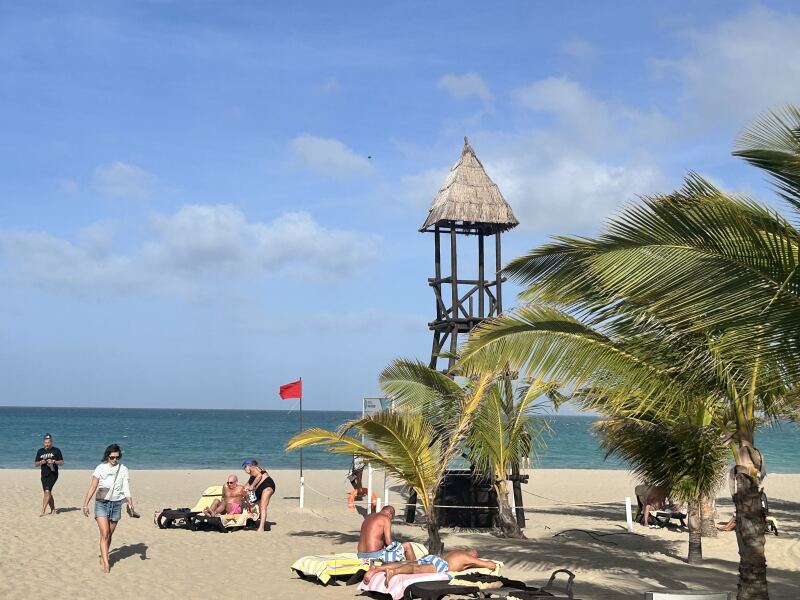 Thread 42 Starmer : Du drikker en kop te, og så tænker du lidt over alting