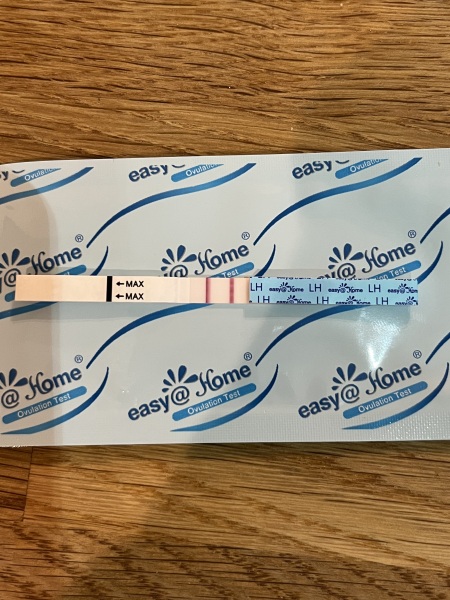 The Hopeful Hearts Circle 1  - December 2025🎄💖