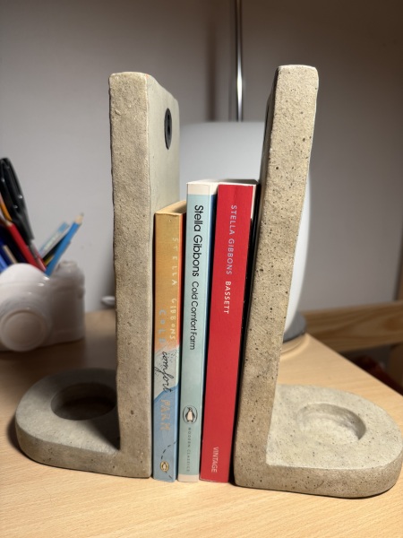 My year with Stella...