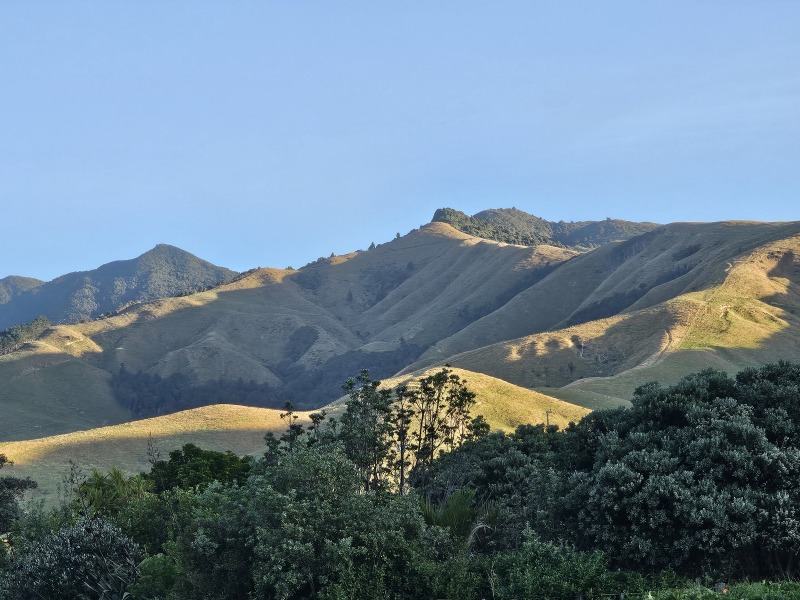 Keeping on exercising