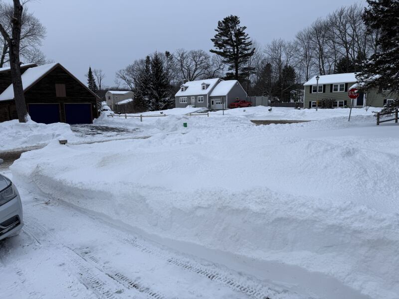 The Bluestocking Women’s Pub: definitely full of ludicrous halfwits who refuse to get a grip (with unionised gerbils)
