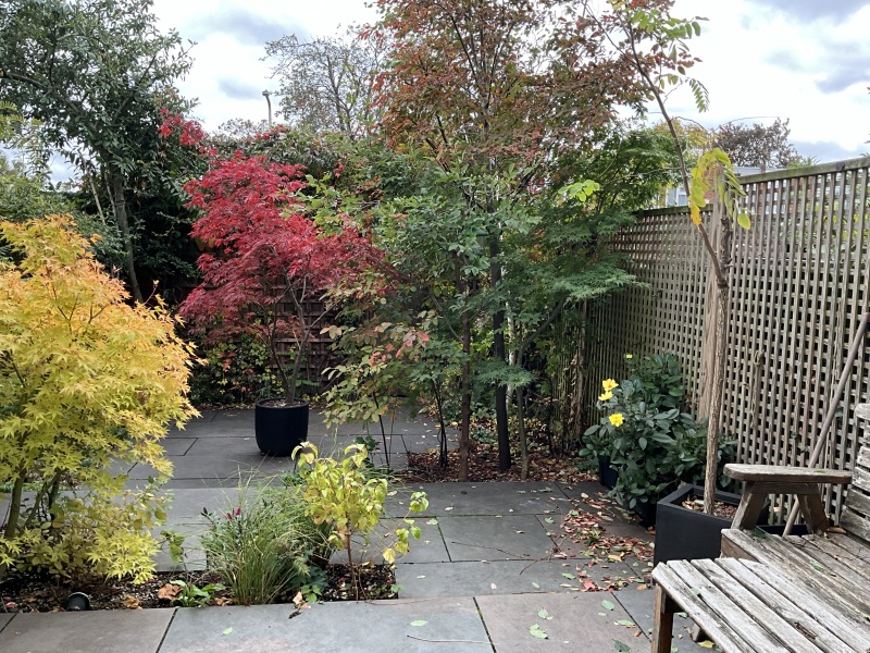 Please help me choose how to spend my garden voucher.