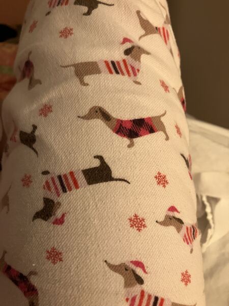 The Bluestocking, where the cheese is plentiful and the Champagne is on Boiledbeetle