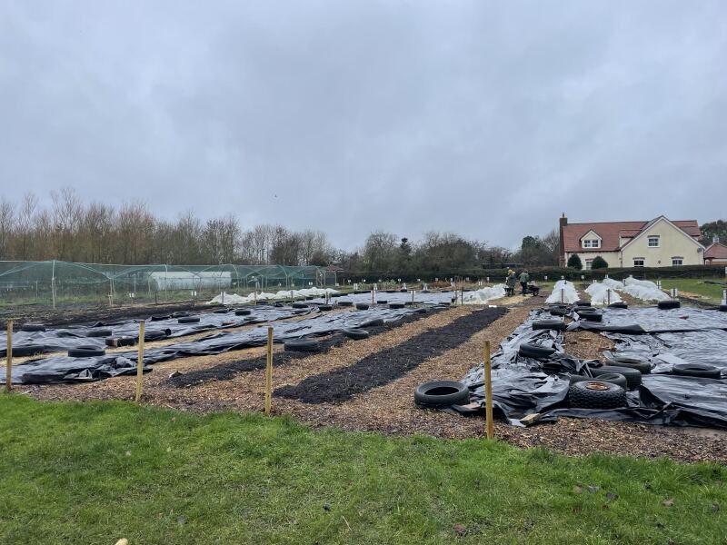 The Nigel Slater Christmas Chronicles Readalong 2025 - Part 3