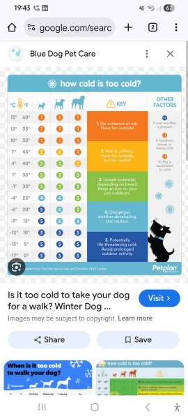 Is -5 too cold for a dog walk?