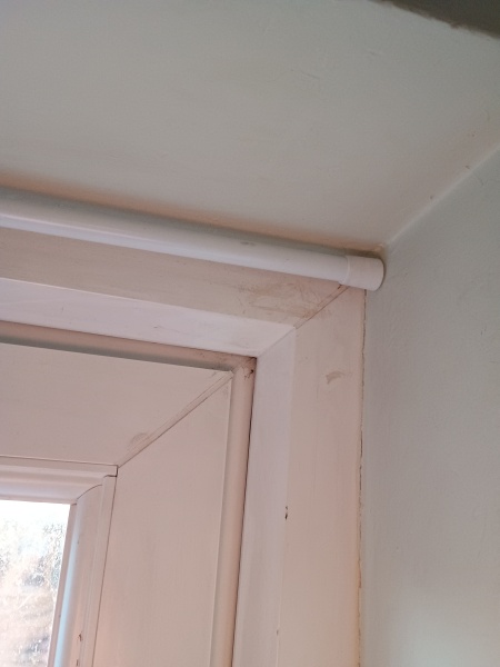 The Bluestocking Boxing Day sale: 1 gerbil for the price of 2