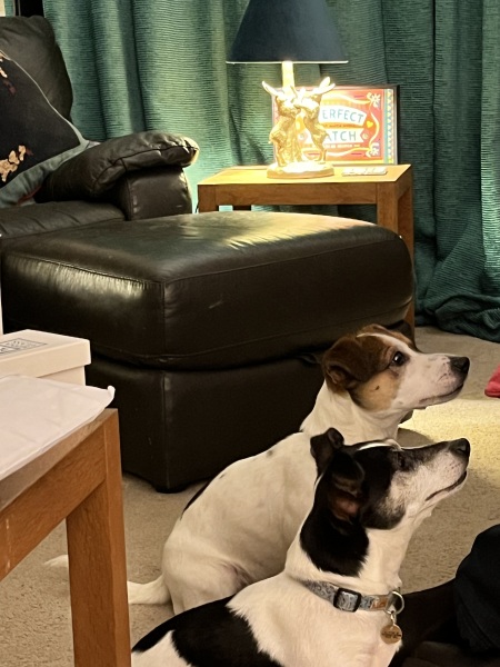 Thread 40 Starmer: Prettig Kerstfeest, Nollaig Shona, Hyvää Joulua, Nadolig Llawen ,圣诞快乐, God Jul, Feliz Navidad, Bouan Noué, Nollaig Chridheil.