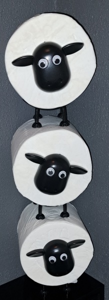 The Bluestocking - your local women's pub, warm, friendly, and not at all unusual in any way.