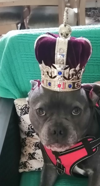 The Continuing Support Thread for Anyone Trying to Lead an Alcohol-Free Life Spring 2026