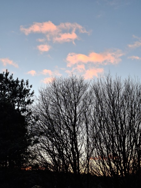 The Nigel Slater Christmas Chronicles Readalong 2025 - Part 3