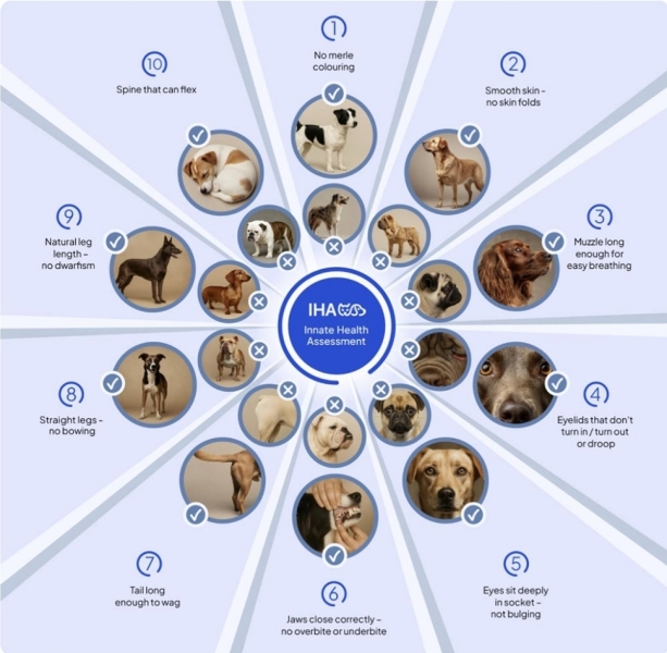 Law Change for Dog Breeding