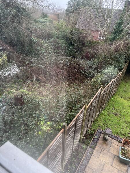 Would this garden next door put you off buying the house?