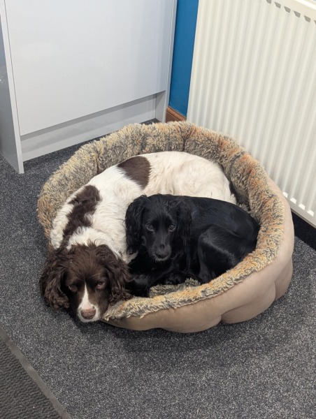 Beyond Adolescence and General Chit Chat - part 3