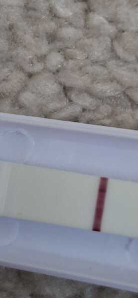 Can anybody else see this?