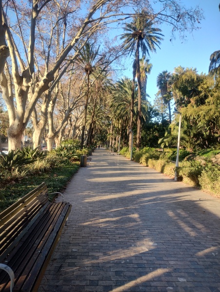 Running goals, motivation and chat 2025 - Part 2!