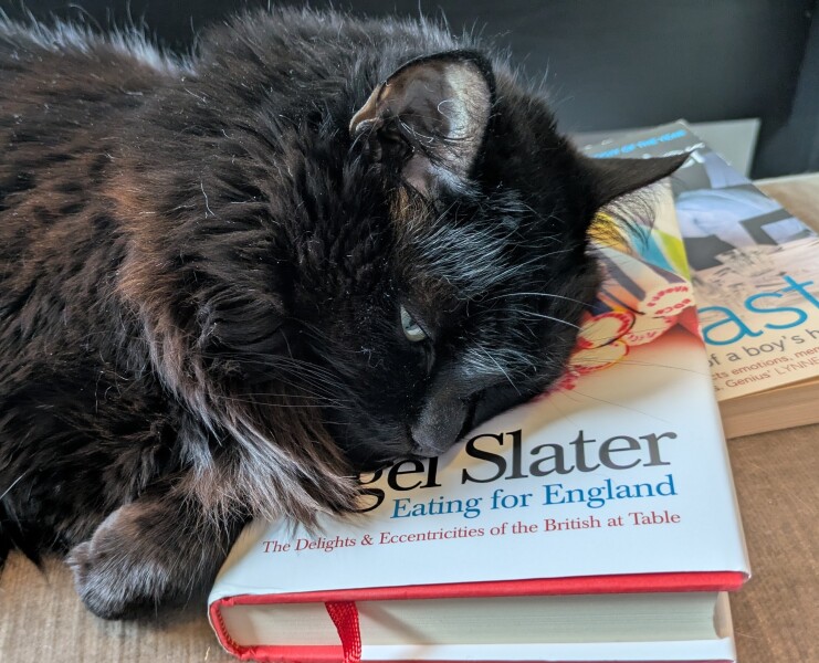 The Nigel Slater Christmas Chronicles Readalong 2025/6 Part 4