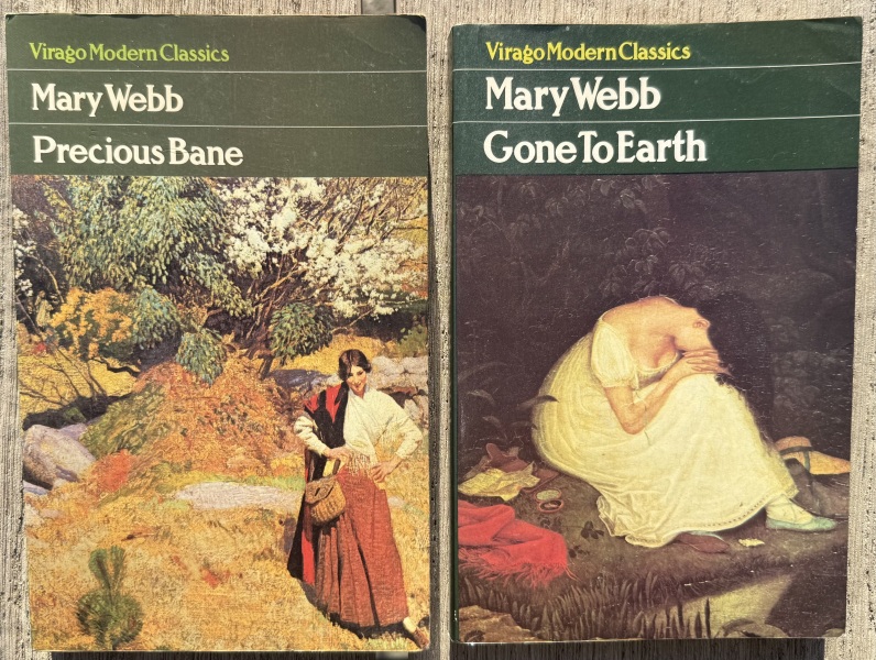 My year with Stella...