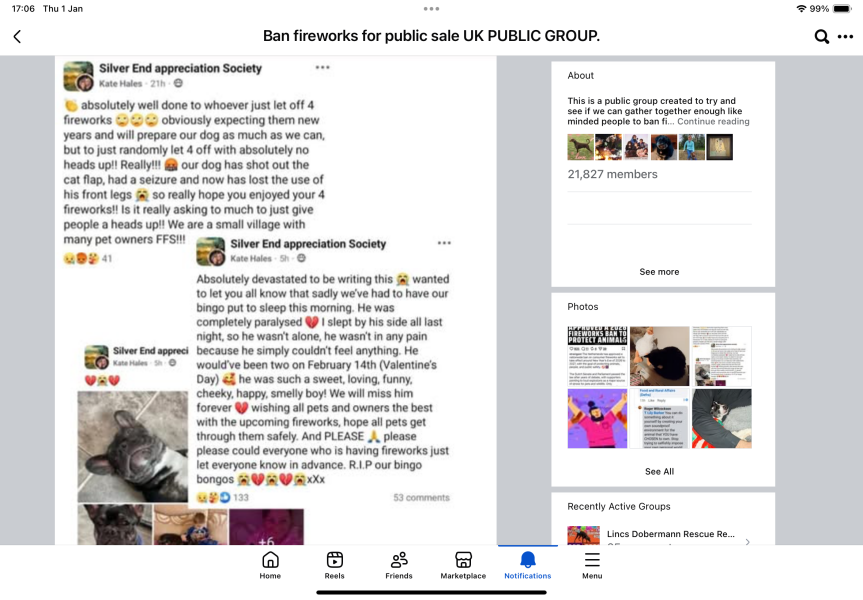 To not get the problem with fireworks and pets