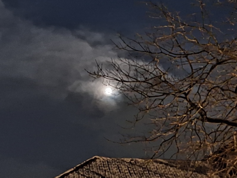 Any Witches Here? Part 21