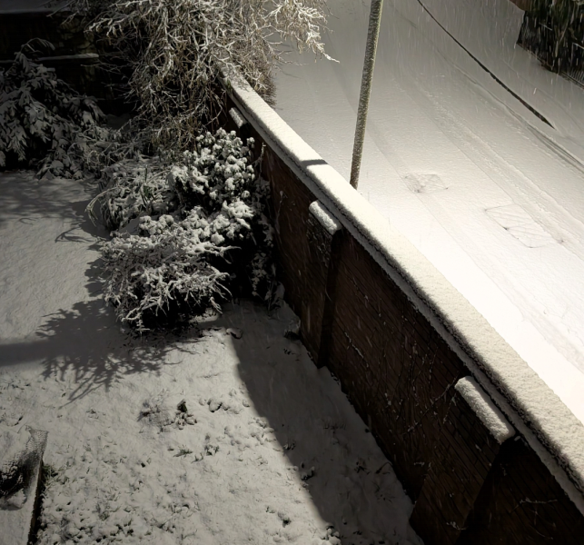 Where’s the snow thread!! 🧊 ⛄️ ❄️