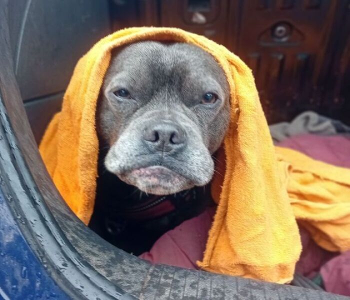 The Continuing Support Thread for Anyone Trying to Lead an Alcohol-Free Life Spring 2026